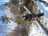schweden -  ()