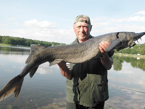 --����� - ������� (����������)