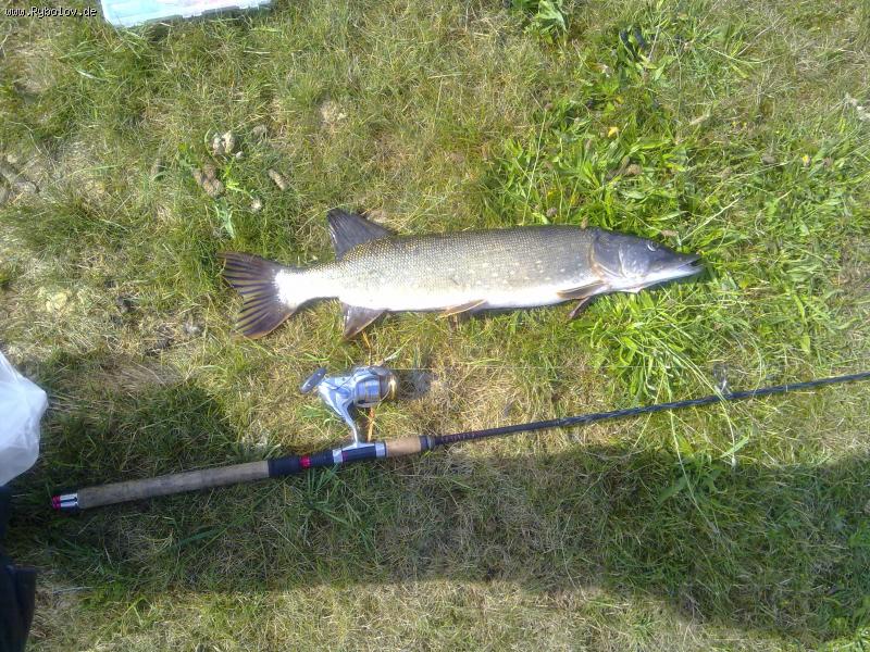 --���� 75 �� 3 �� - ������� (����������)