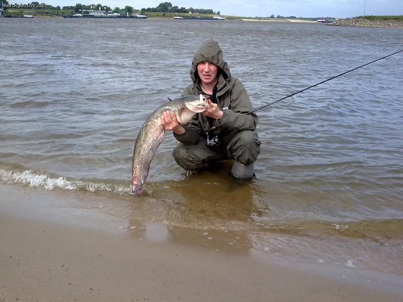 --����� ��  \"�����\" - ������� (����������)