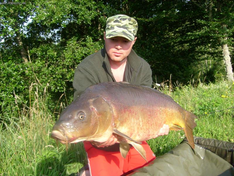 --���������� - ������� (����������)