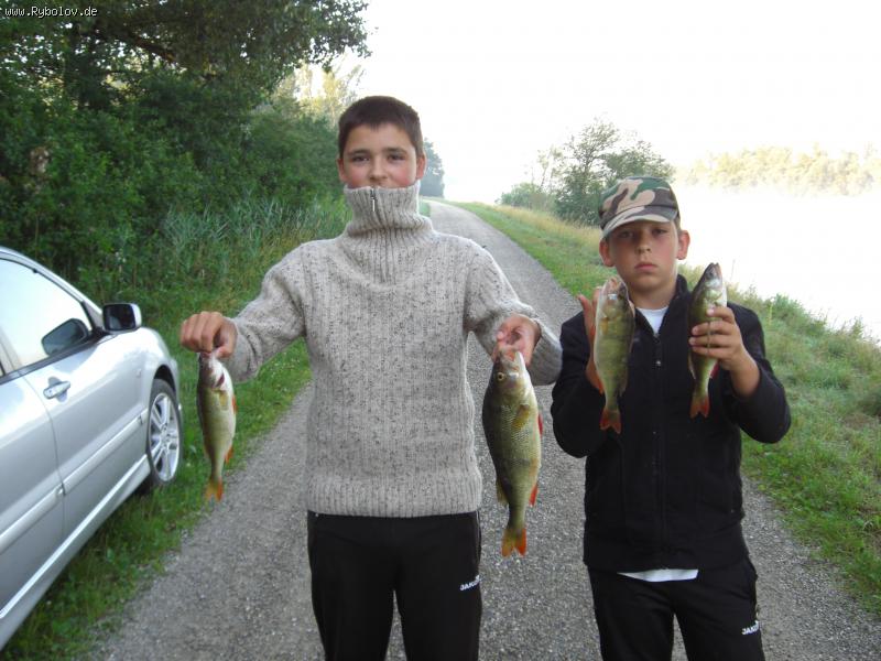 --���� - ������� (����������)