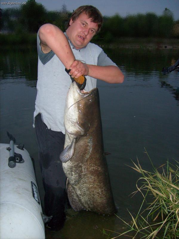 -- SOM - KVOK - ������� (����������)