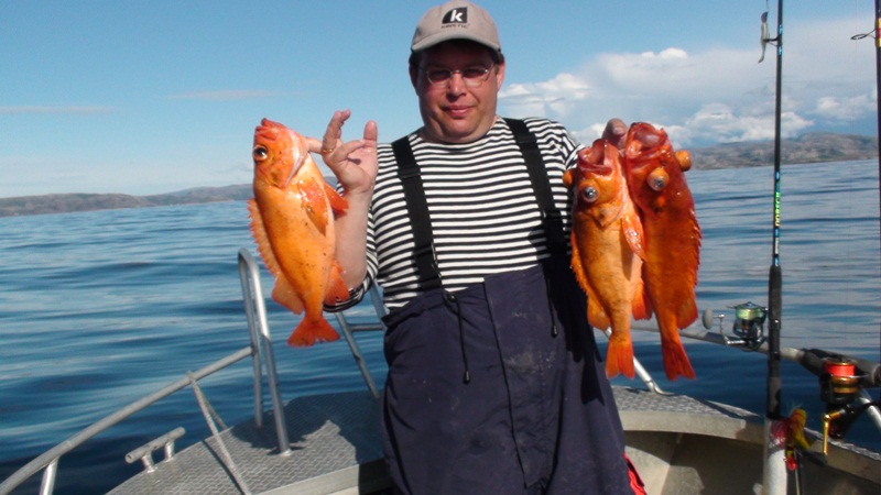 --�������� ��� 2011. - ������� (����������)