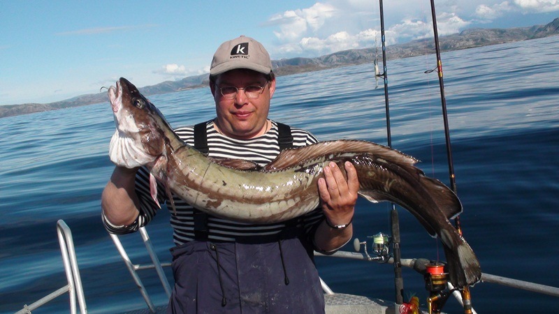 --�������� ��� 2011. - ������� (����������)