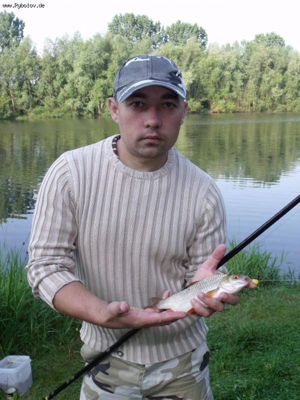 --,, Talsperre Birkungen 11.07. 2011 ,, -  ()