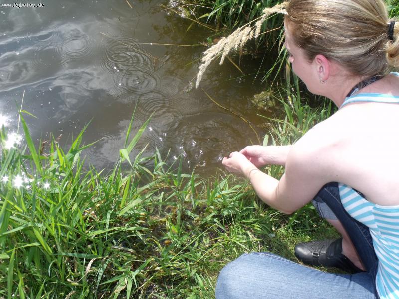 --,, Talsperre Birkungen 11.07. 2011 ,, -  ()