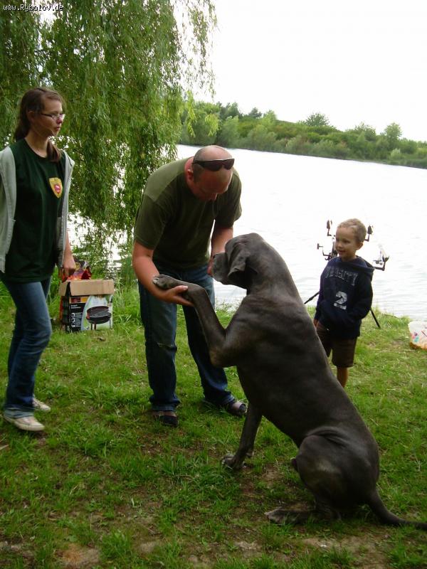 --��������� - ������� (����������)