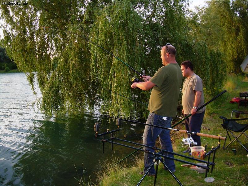 --������ - ������� (����������)