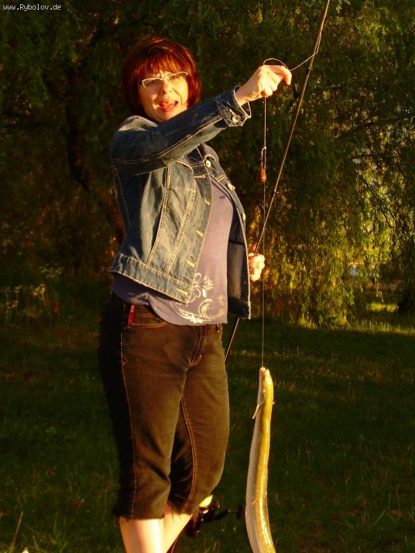 --��������� - ������� (����������)