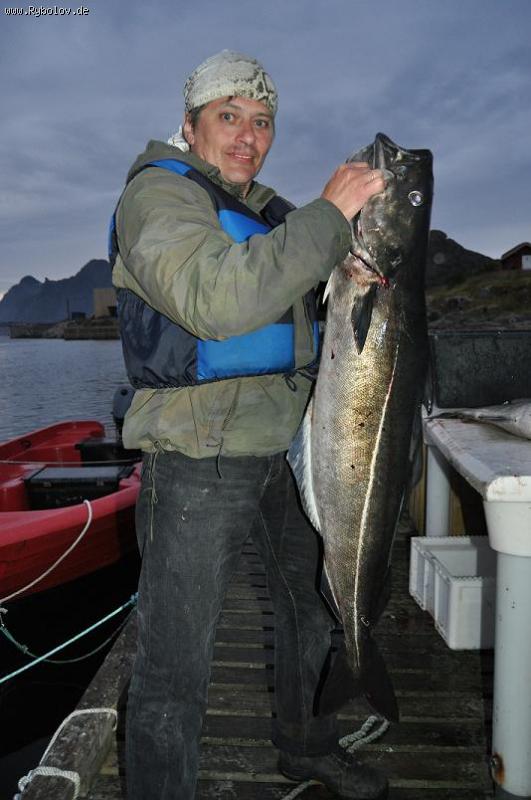 --Sei - 115s. , 13,5kg -  ()