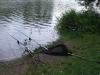 ,, Talsperre Birkungen ( 23.07.2011 ) ,, - рыбалка (фотоальбом)