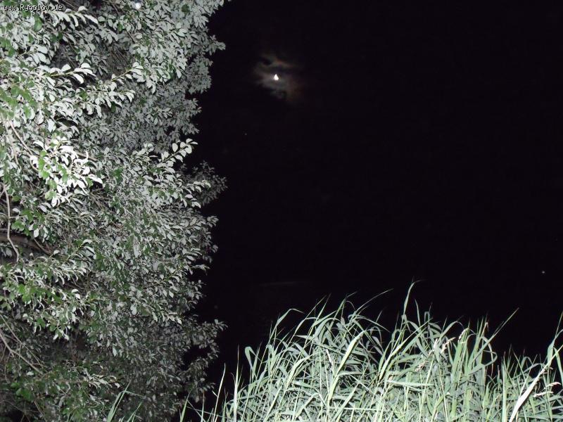 --,, Ночь 02:10 ,, - рыбалка (фотоальбом)