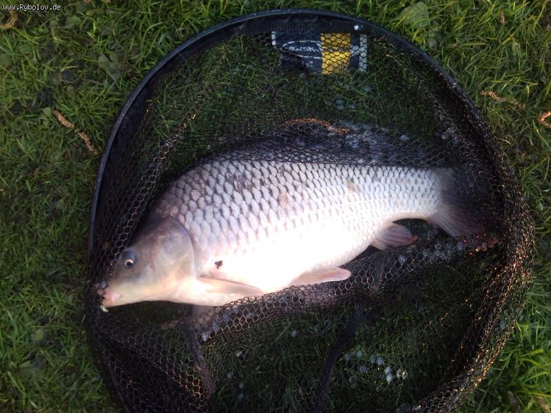 -- ������� ����. - ������� (����������)