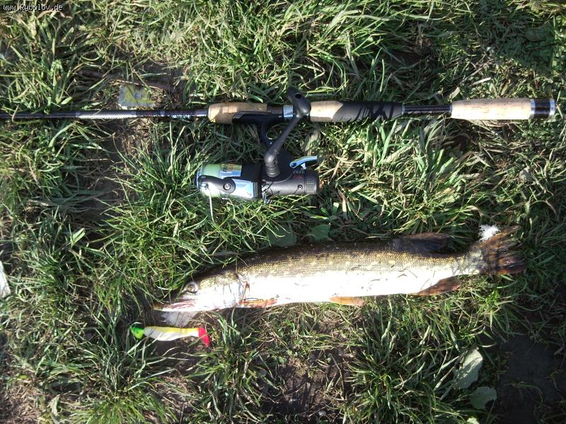 --���. ������ �����. ������. - ������� (����������)