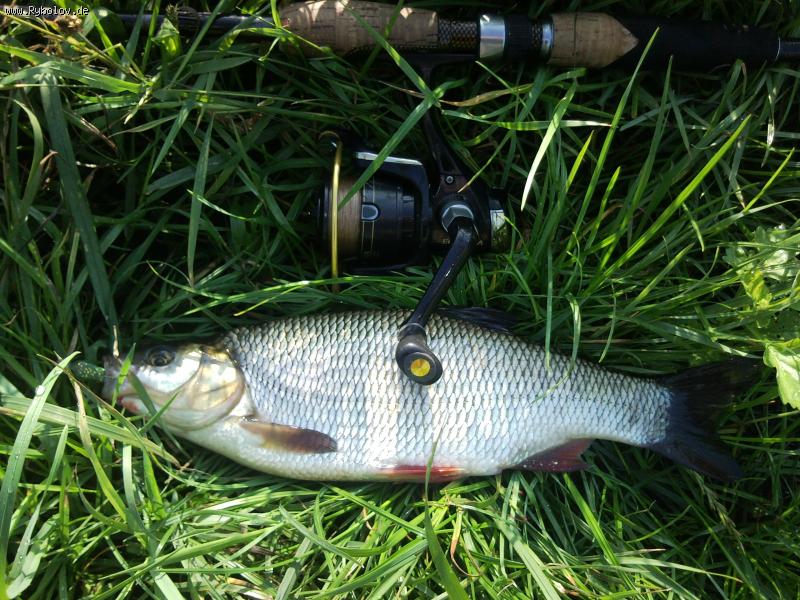 --�������� �� ����. - ������� (����������)