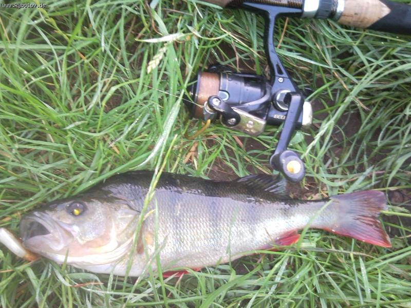 --������ �� 30. ���. - ������� (����������)