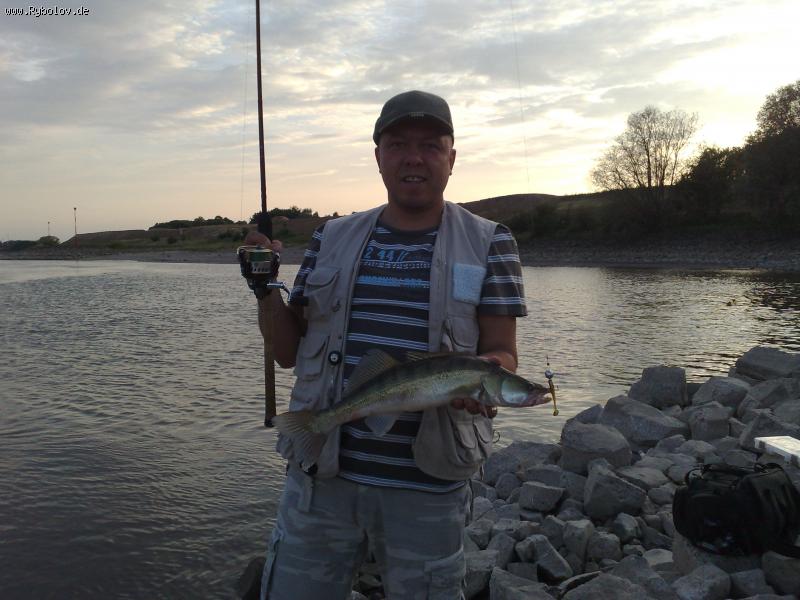 --Rhein - ������� (����������)