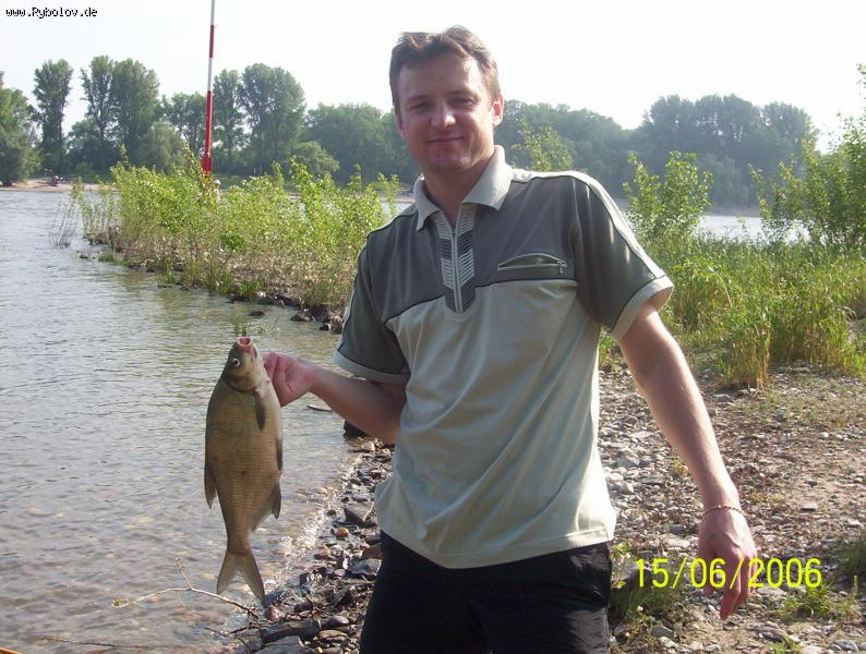 --Rhein Düsseldorf - ������� (����������)