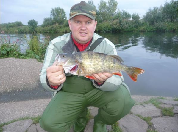 --����� 40�� - ������� (����������)