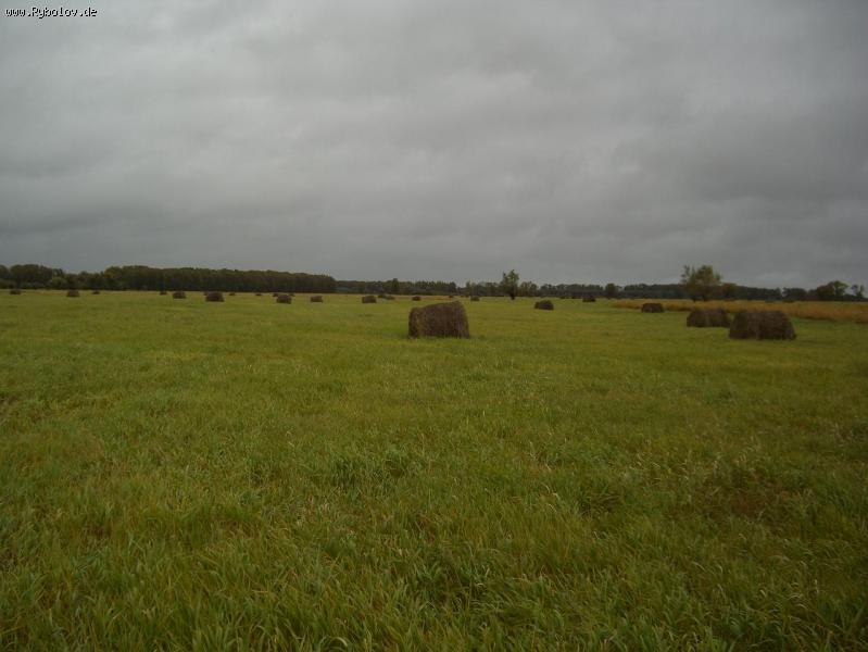 --������� �� �������� ����� �.�����. - ������� (����������)