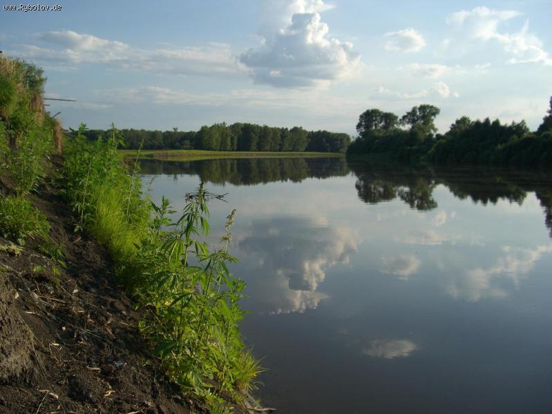 --���� �����. - ������� (����������)