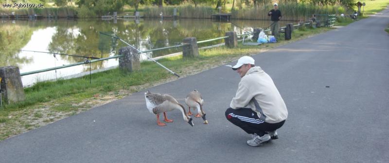 --����� ���� �� �����. - ������� (����������)