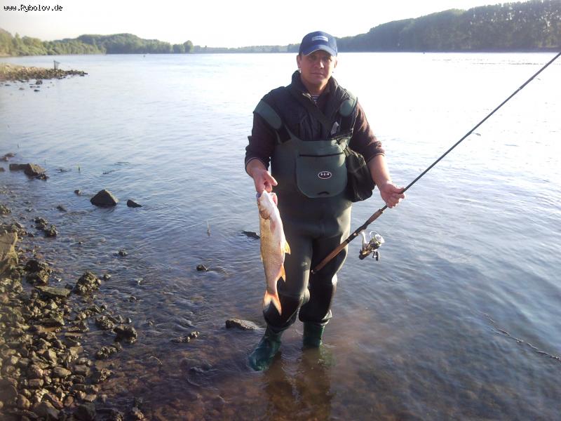 --�����  ���� ����� 2� ���� - ������� (����������)