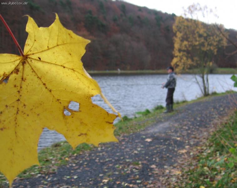 --������� ���� 1 - ������� (����������)