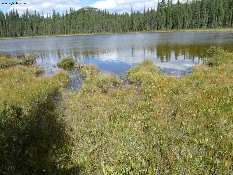 --��������� \"���������...\" - ������� (����������)