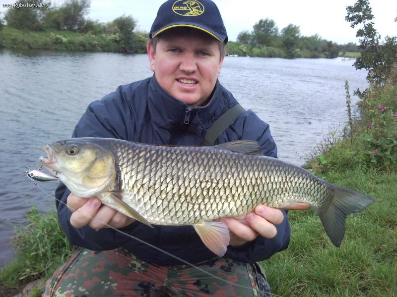 --������� 52�� 1.6��. - ������� (����������)