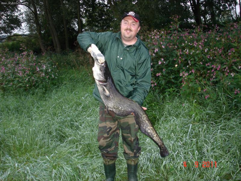 --����� - ������� (����������)