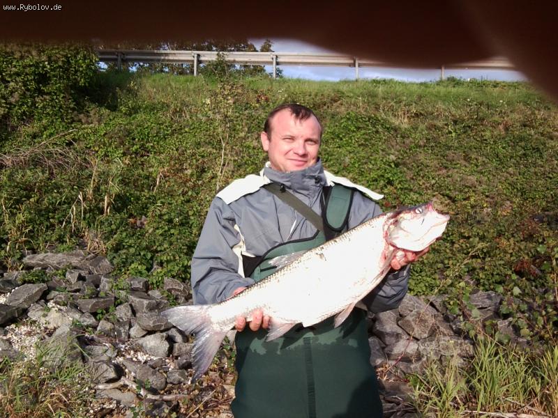 --�����  ���� ����� 4500 - ������� (����������)