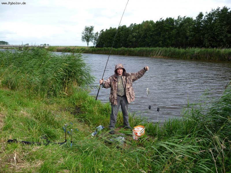 --Holland -  ()