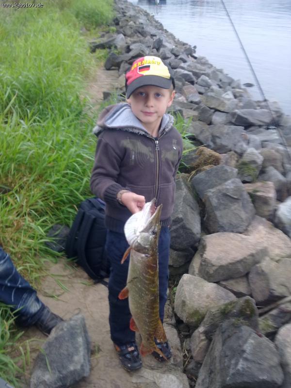 --���� 68�� 2,5 �� - ������� (����������)