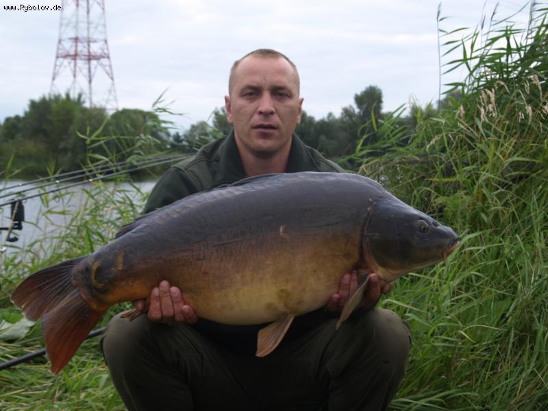 --���� - ������� (����������)