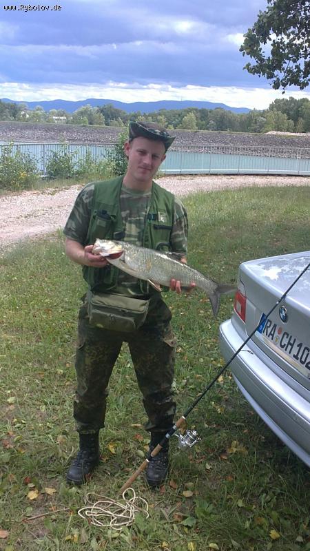 --Scherih na Reine - ������� (����������)