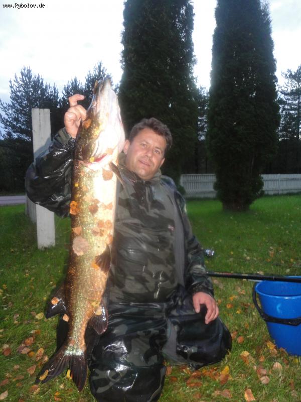 --���� 115 �� ������ - ������� (����������)