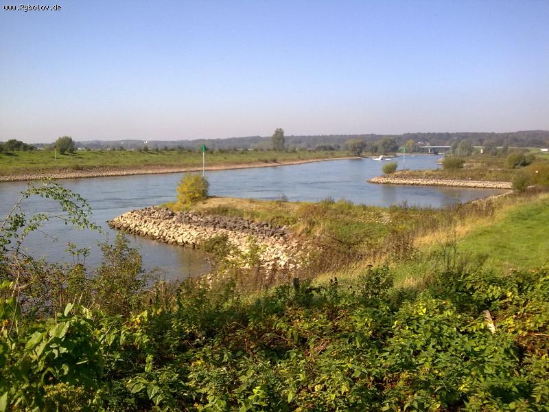 --���� ����. - ������� (����������)