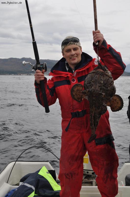 --Seeteufel , Voksa - ������� (����������)