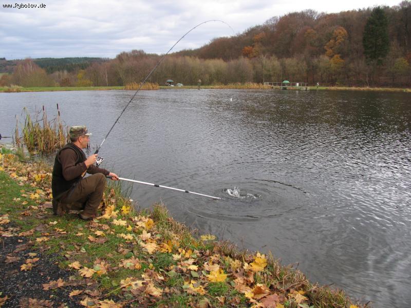 --��� � ������� ������. - ������� (����������)