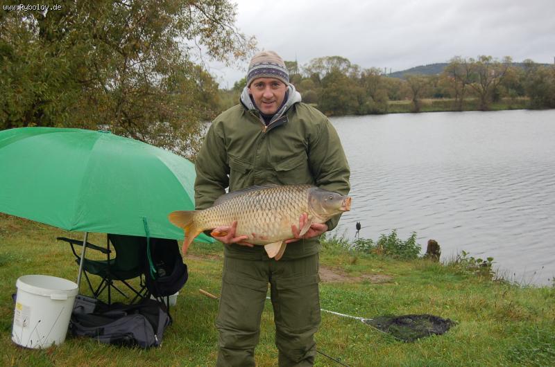 --���� 80��  11�� - ������� (����������)