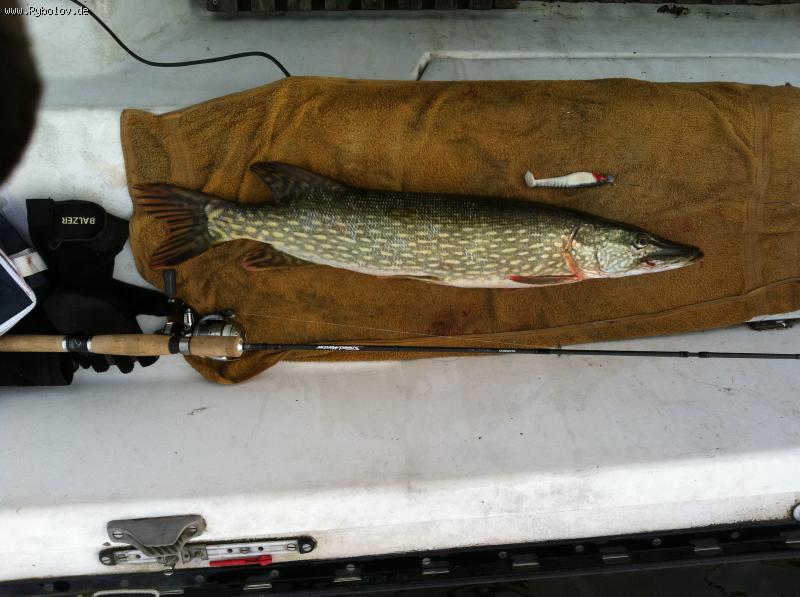 --Edersee 09.10.11.����� 78 �� - ������� (����������)