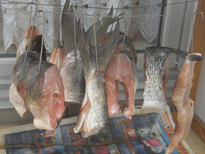 --������� ����� - ������� (����������)