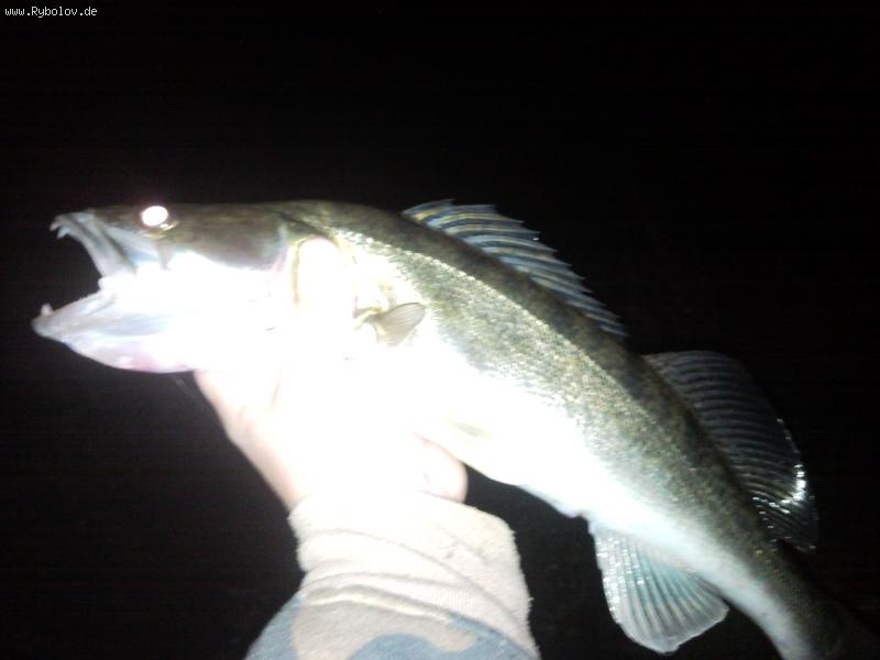 --����� � ����������. - ������� (����������)