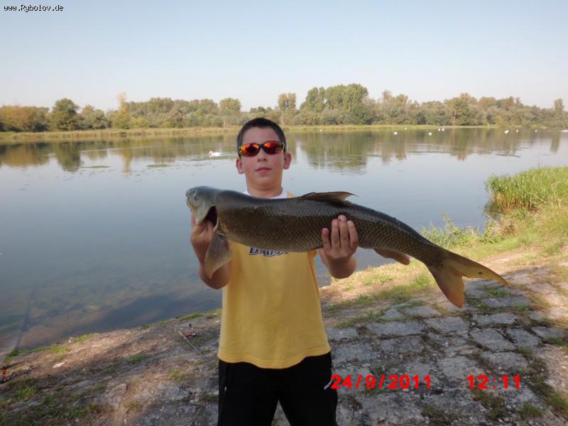--Barbe 80 cm - рыбалка (фотоальбом)