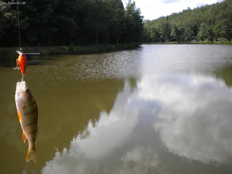 --������ - ������� (����������)