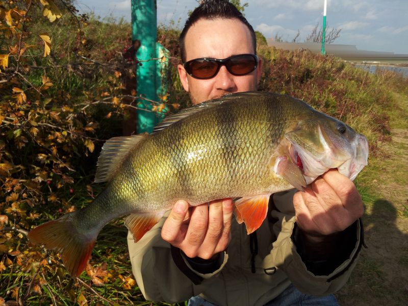 --43er Barsch - рыбалка (фотоальбом)