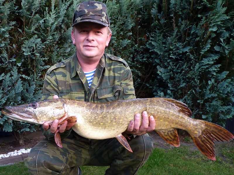 --����� ����. - ������� (����������)