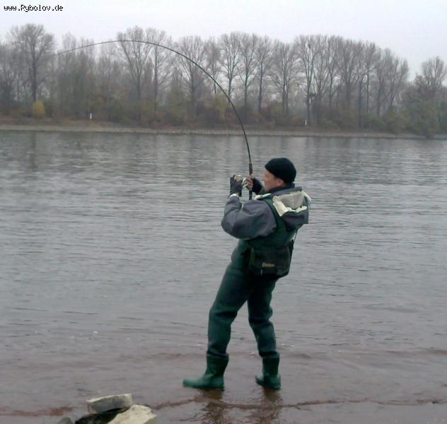 --В невединее - рыбалка (фотоальбом)